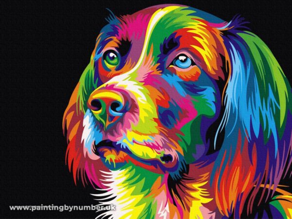 Colorful dog paint by number EX5251