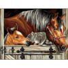 Painting by Numbers Kit Horse EX5284
