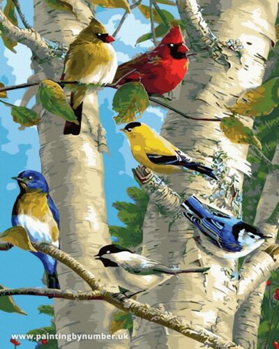 Paint by Numbers kit Birds GX29398