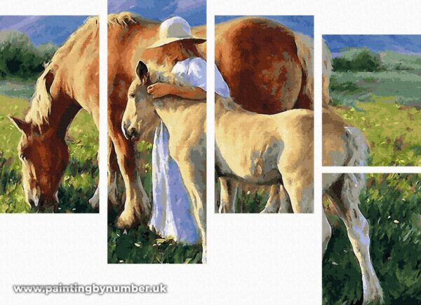 Horse paint by number WX1001 5 Piece